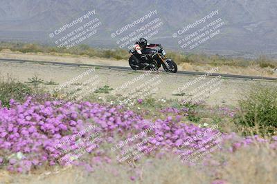 media/Feb-04-2023-SoCal Trackdays (Sat) [[8a776bf2c3]]/Turn 15 Inside Blooming (1050am)/